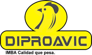 Create Grupo Coder Sac